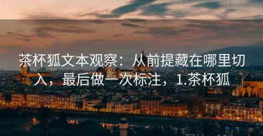 茶杯狐文本观察：从前提藏在哪里切入，最后做一次标注，1.茶杯狐